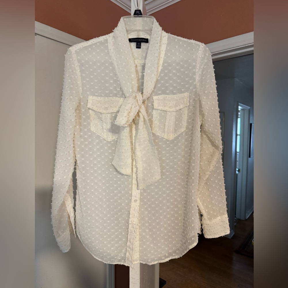 Banana Republic Sheer Bowtie Blouse